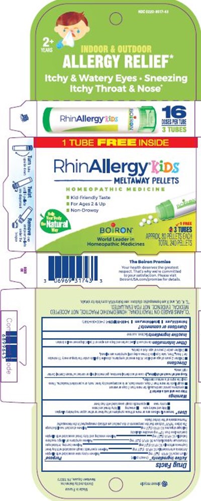 Label (Rhinallergy Pellets 6899643 10.2020)